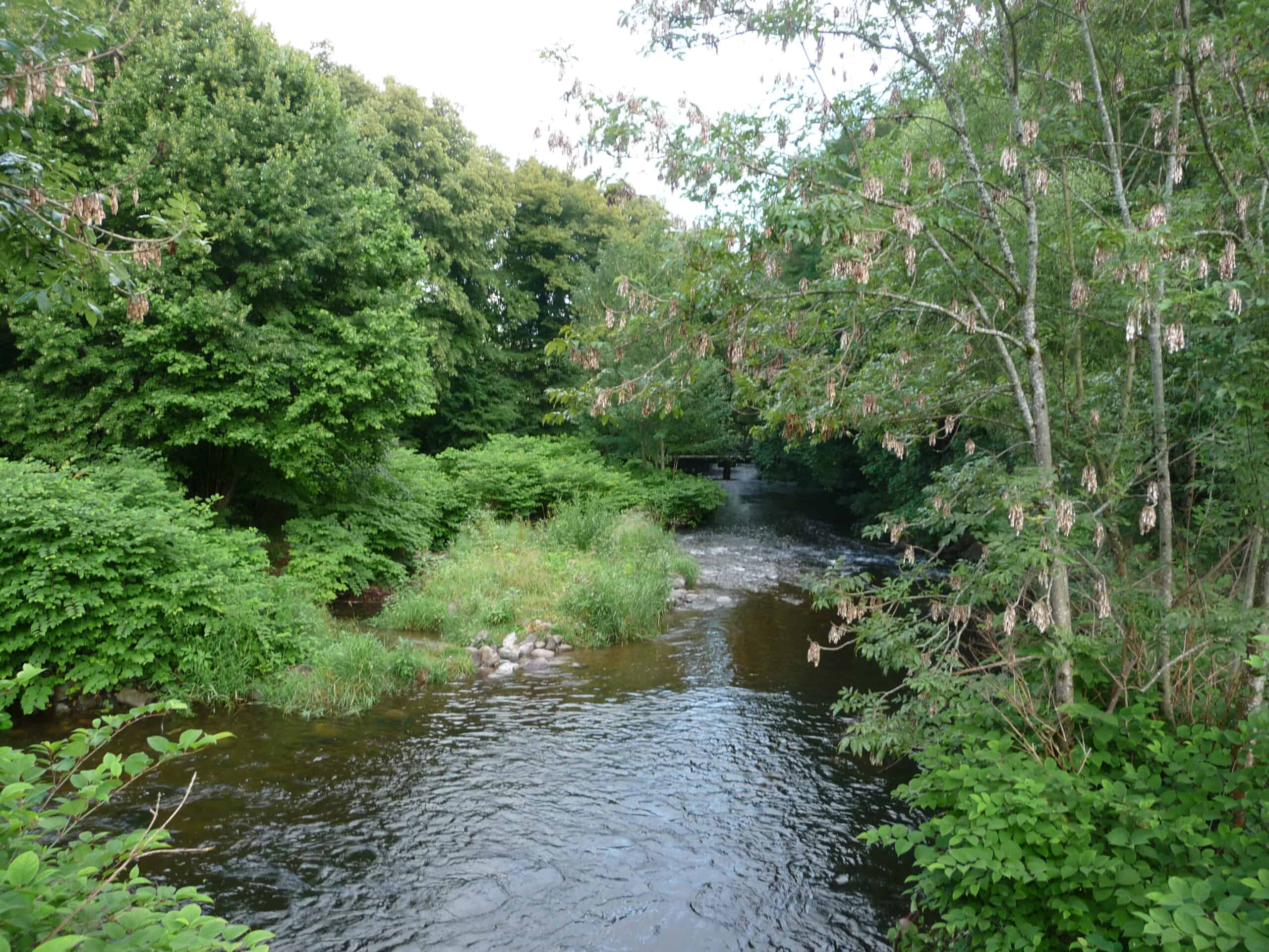 Bords De La Vologne Granges-Aumontzey